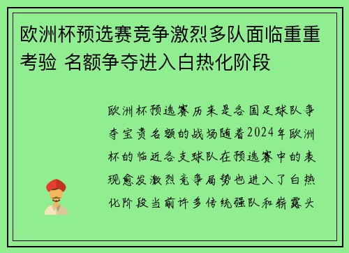 欧洲杯预选赛竞争激烈多队面临重重考验 名额争夺进入白热化阶段