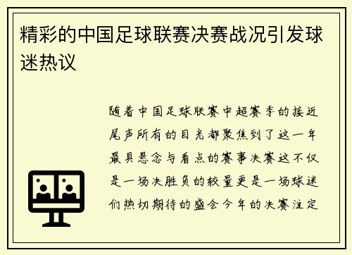 精彩的中国足球联赛决赛战况引发球迷热议